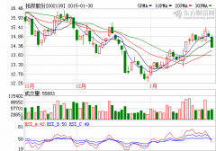 拓邦股份：動力電池業(yè)務前景可期 機構“興趣濃厚”