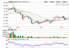 樂凱膠片：發(fā)布相關(guān)募投項目可能存在特有風(fēng)險公告