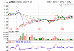 猛獅科技擬500萬元收購潤峰電力光伏項目資產(chǎn)