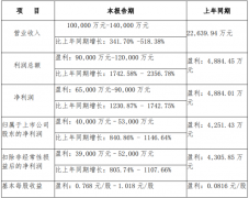 西藏礦業(yè)上半年凈利同比預(yù)增逾8倍 寧德時(shí)代/盛新鋰能成新客戶