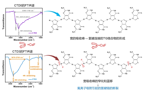 上海硅酸鹽所設(shè)計出砜類電解液體系的室溫氟離子電池