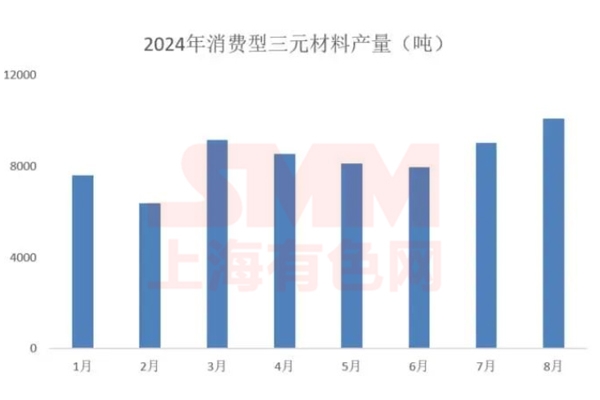 量?jī)r(jià)背離！2024下半年三元小動(dòng)力市場(chǎng)分析