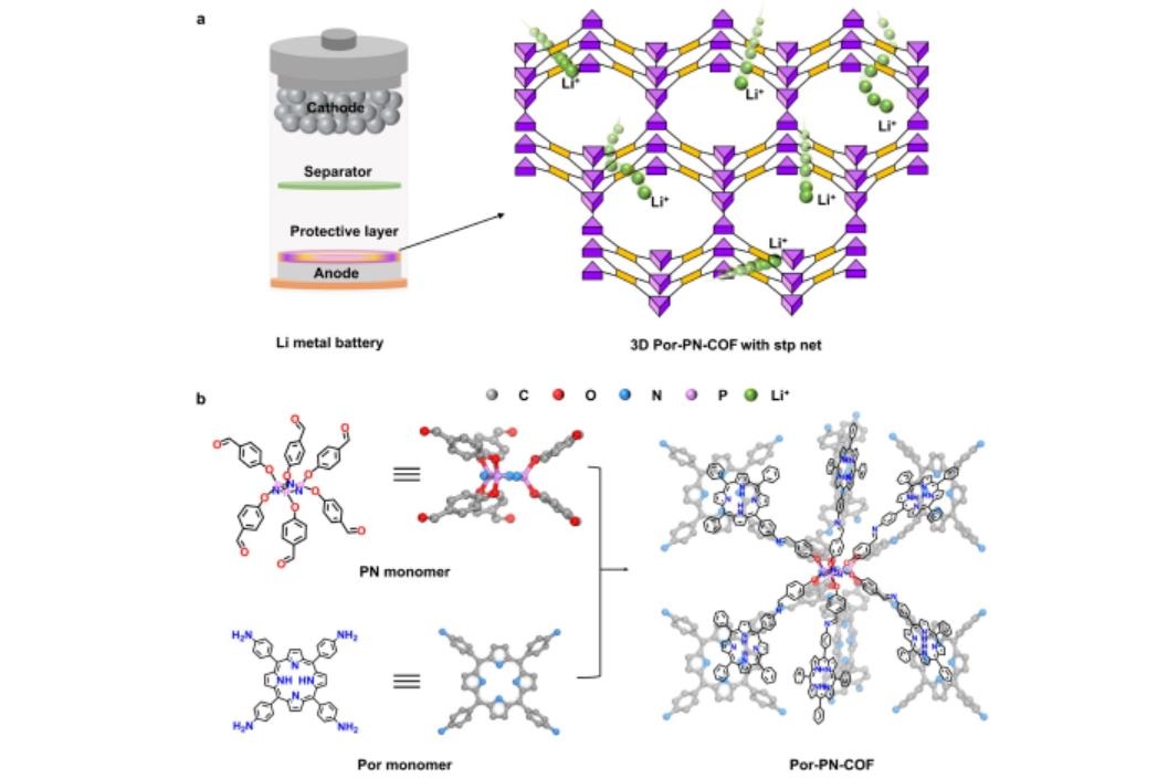 科學(xué)家發(fā)展出新型三維共價(jià)有機(jī)框架?助力實(shí)現(xiàn)高性能鋰金屬電池
