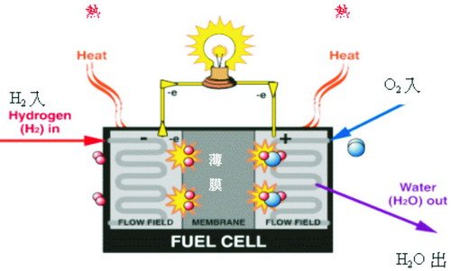 燃料電池工作原理圖