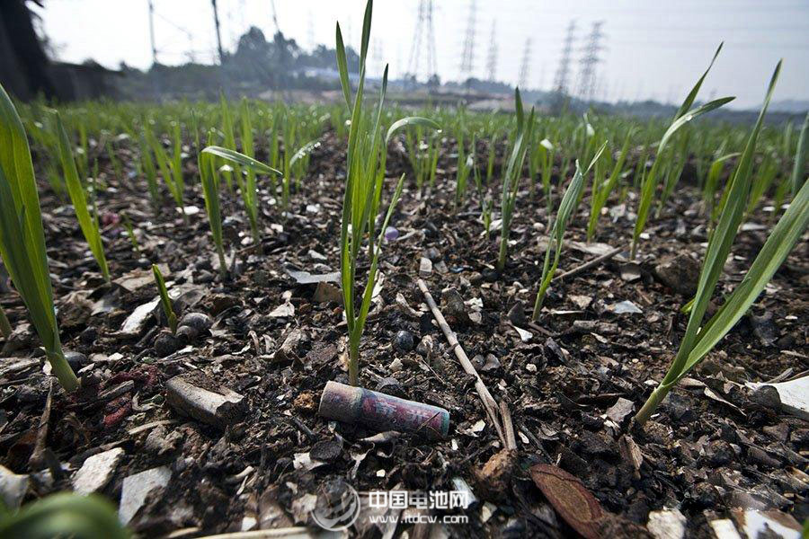 遏制小電池的大污染 刻不容緩