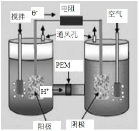 日本用天然酶作催化劑提高燃料電池發(fā)電能力