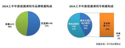 新能源汽車發(fā)展元年 中國(guó)新能源車市半年總結(jié)
