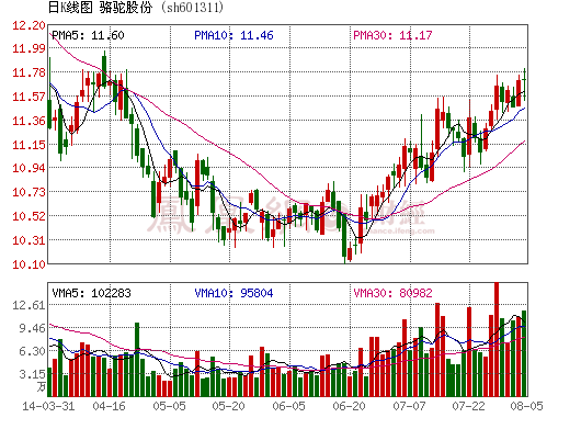 駱駝股份上半年業(yè)績(jī)大增46% 加速動(dòng)力電池產(chǎn)品化