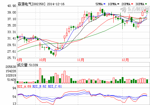 森源電氣轉(zhuǎn)讓蘭考光伏電站項(xiàng)目 預(yù)計(jì)獲利逾2億元