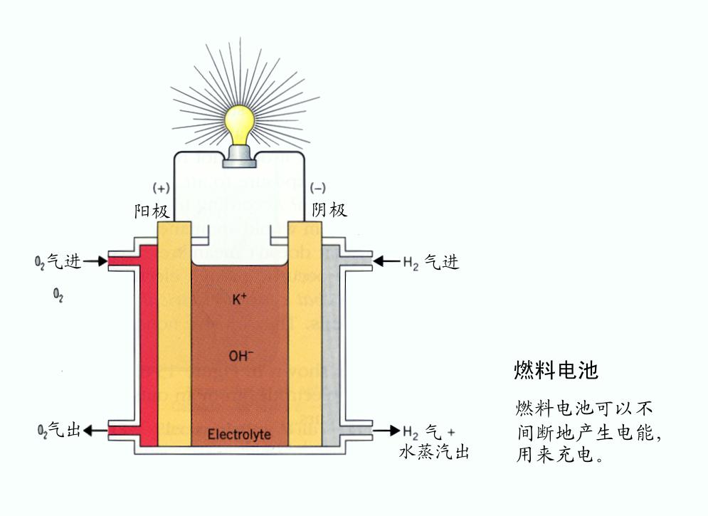 新研究揭示細菌酶制取甲酸機制 可用于造燃料電池