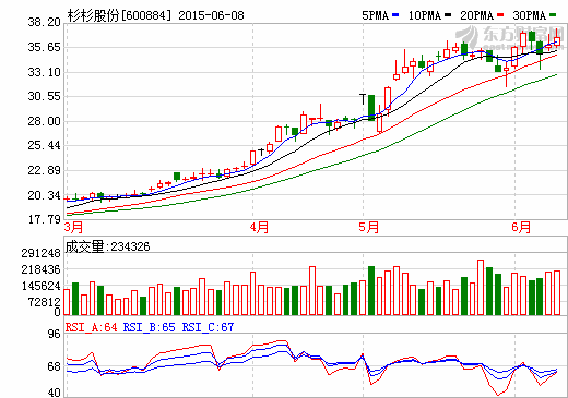 杉杉股份將造新能源車  鄭永剛能否越過“山丘”？