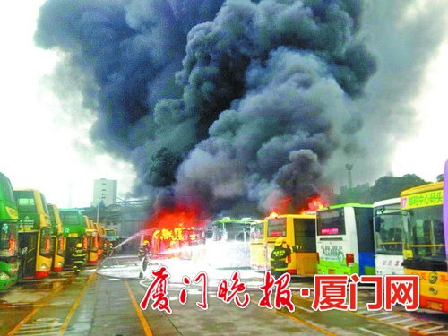 廈門一公交車突起火致11車損毀 一人滅火時(shí)受傷后死亡