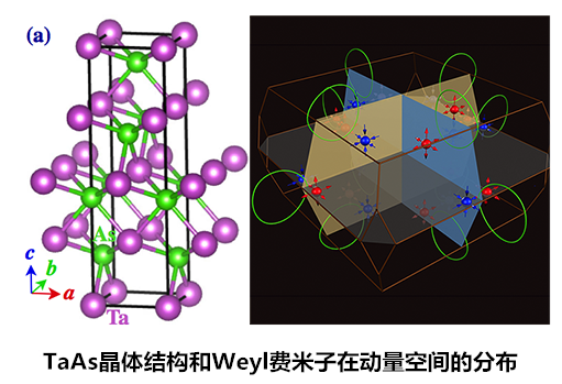 中國(guó)科學(xué)家發(fā)現(xiàn)外爾費(fèi)米子 可用于手機(jī)電池