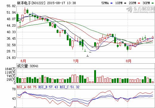 林洋電子募資28億加碼光伏發(fā)電及智慧能源