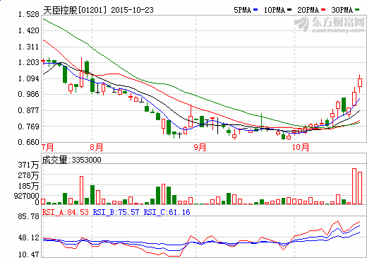 天臣控股設(shè)附屬從事鋰離子動力電池