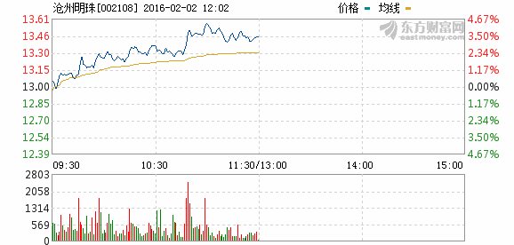 滄州明珠分時走勢圖