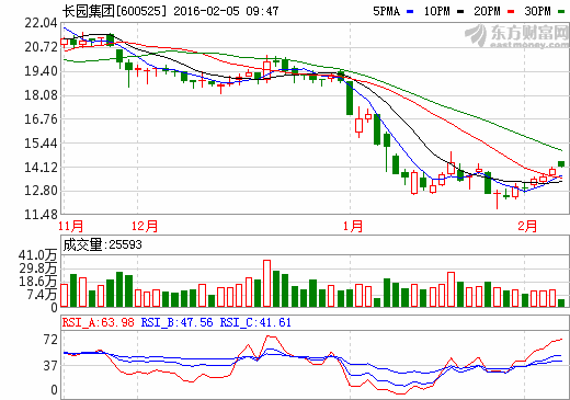 長園集團擬定增募資8億元投資智能電網(wǎng)項目