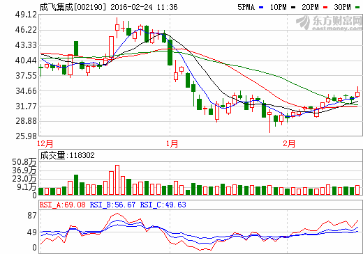 成飛集成