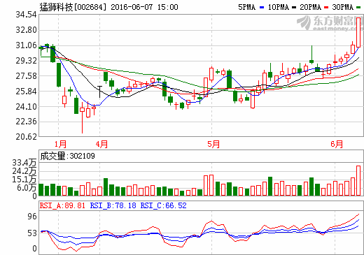 猛獅科技引入多家機(jī)構(gòu)參與定增 加大全球新能源并購力度