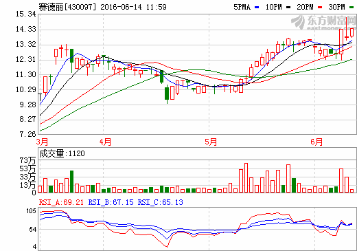 賽德麗擬融資2.5億 布局新能源鋰電池產(chǎn)業(yè)