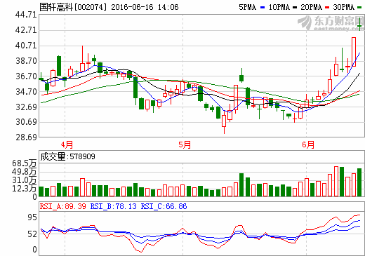 國軒高科：動(dòng)力電池絕對(duì)龍頭 三元電芯再放異彩