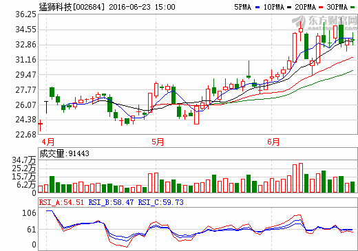 猛獅科技