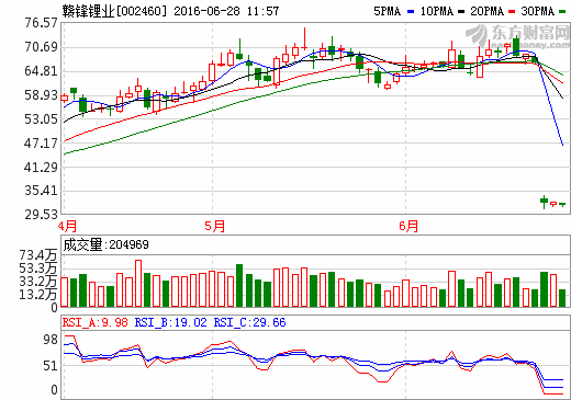 贛鋒鋰業(yè)