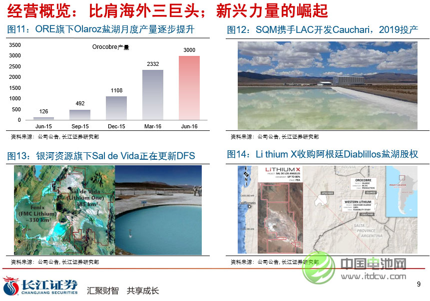 比肩海外三巨頭 新興力量的崛起 