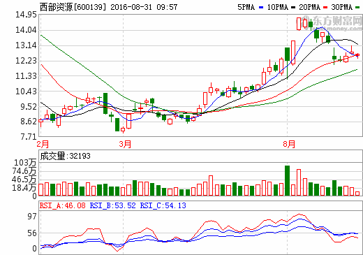 西部資源：上半年凈利巨虧1.16億元 受困新能源政策調(diào)整