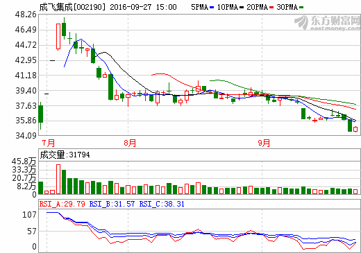 成飛集成