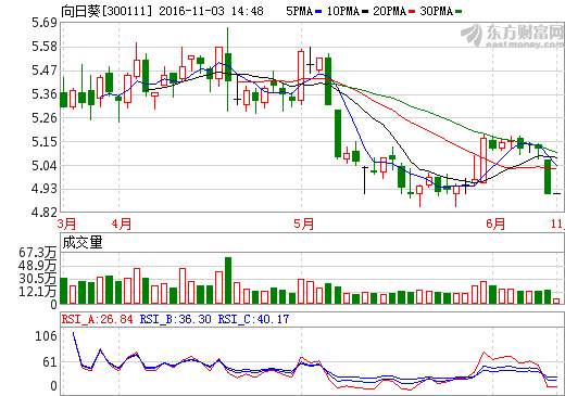 向日葵股價(jià)走勢(shì)圖