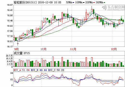 駱駝股份