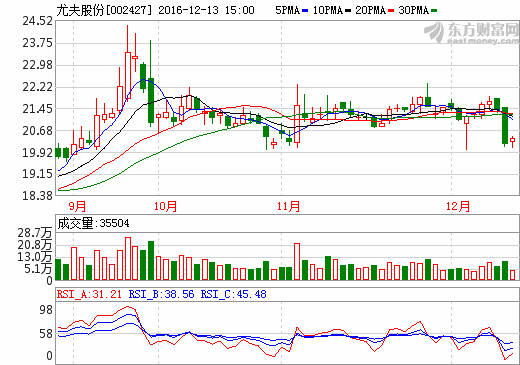 尤夫股份12月13日股價走勢圖