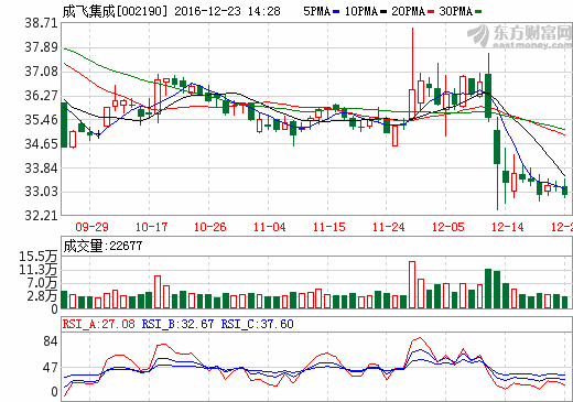 成飛集成