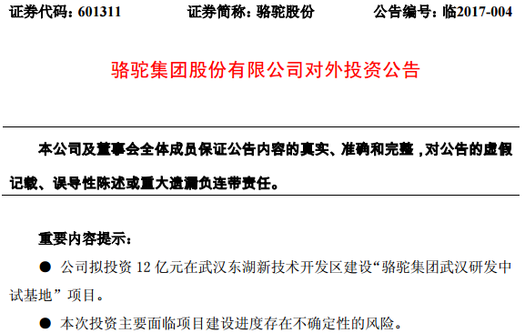 駱駝股份擬投12億元在武漢打造電池研發(fā)中試基地