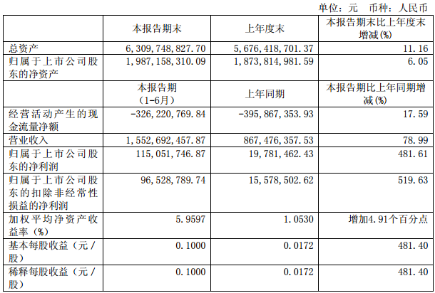 公司主要財務(wù)數(shù)據(jù)