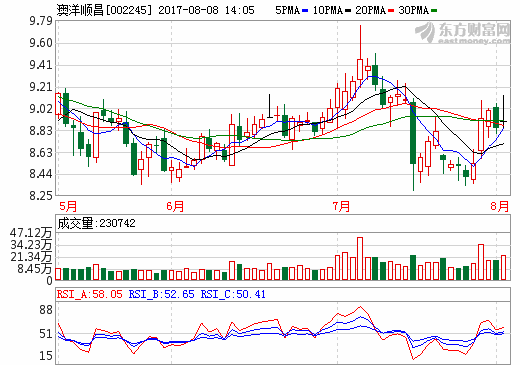 澳洋順昌上半年?duì)I收超15億 鋰電池業(yè)務(wù)營(yíng)收超3億