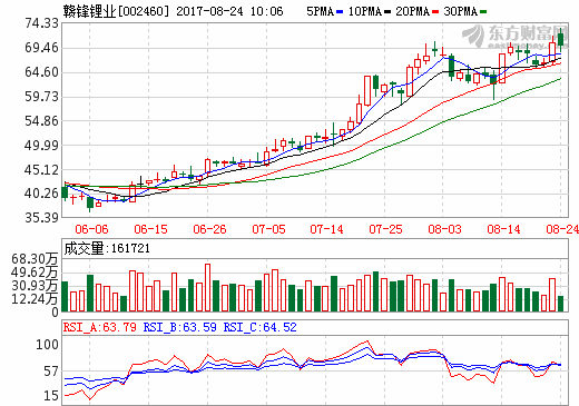 贛鋒鋰業(yè)