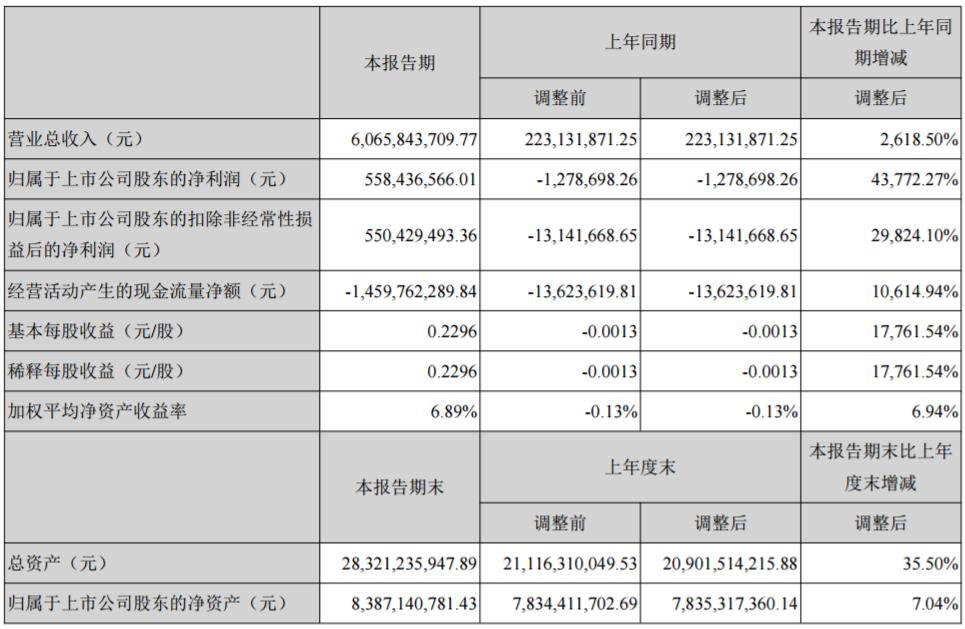 堅瑞沃能主要會計數(shù)據(jù)和財務(wù)指標