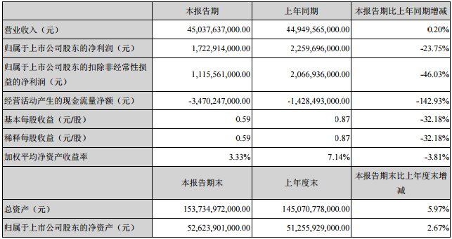 比亞迪主要會(huì)計(jì)數(shù)據(jù)和財(cái)務(wù)指標(biāo)