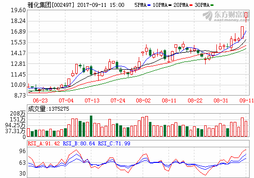 雅化集團