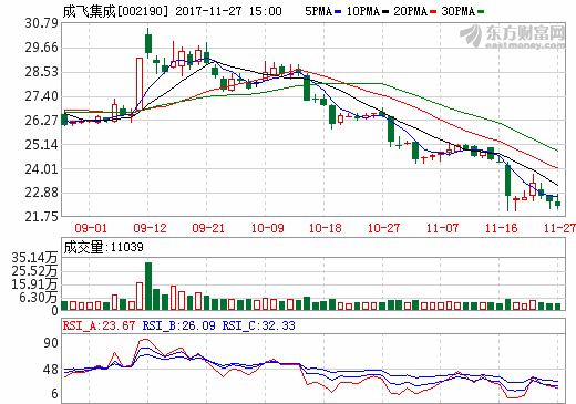 成飛集成