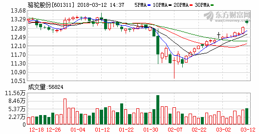 駱駝股份