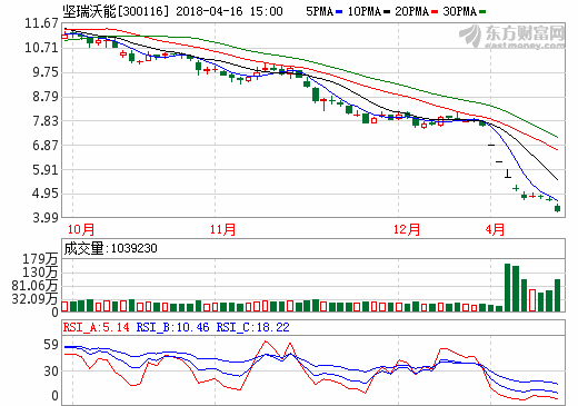 堅(jiān)瑞沃能