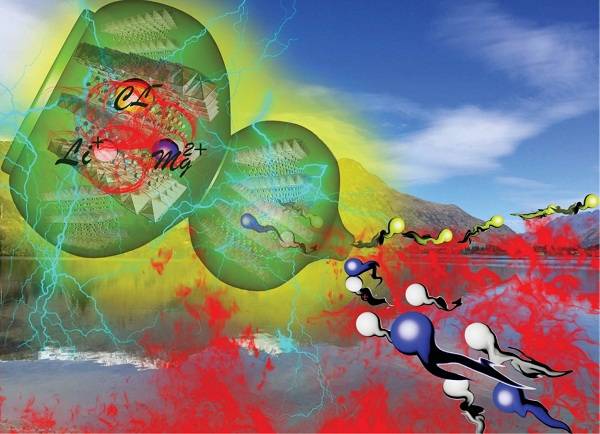 氯化物插層MoS2作為鎂離子電池的正極材料研究