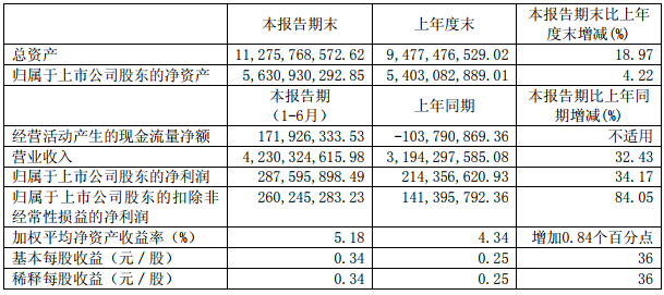 駱駝股份