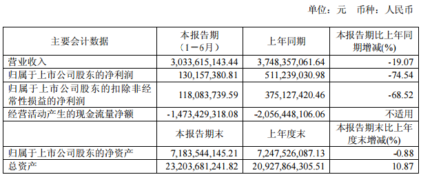 冠城大通主要會(huì)計(jì)數(shù)據(jù)和財(cái)務(wù)指標(biāo)