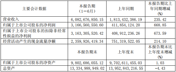 方大炭素主要會計(jì)數(shù)據(jù)和財(cái)務(wù)指標(biāo)（單位：元 幣種：人民幣）