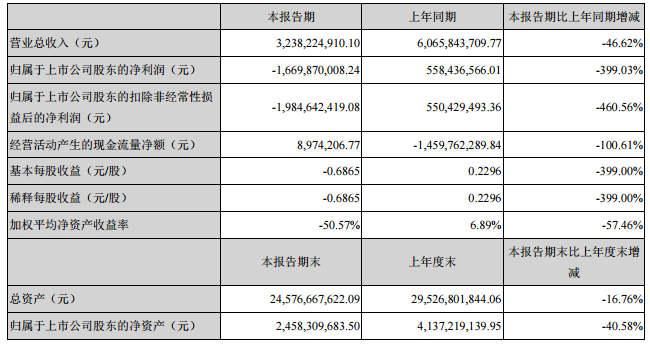 堅瑞沃能主要會計數(shù)據(jù)和財務指標