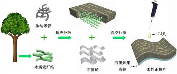 用木質(zhì)素研發(fā)高性能鋰硫電池示意圖